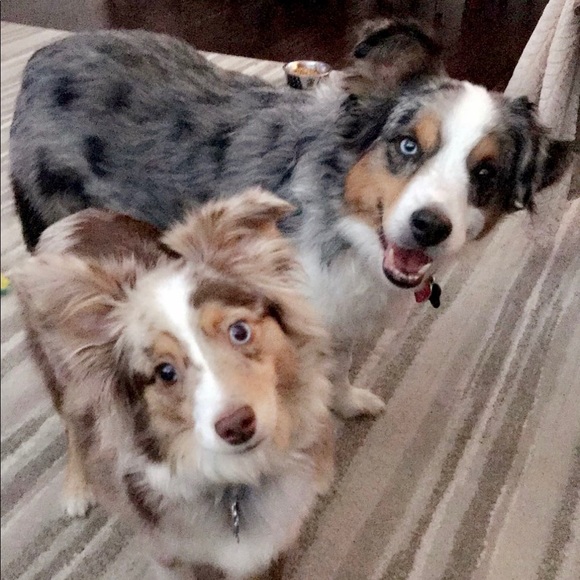 Meet Your Seller/Buyer ... - Picture 3 of 3